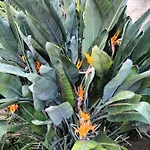 Il Giardino Di Antonella 아파트 에리체