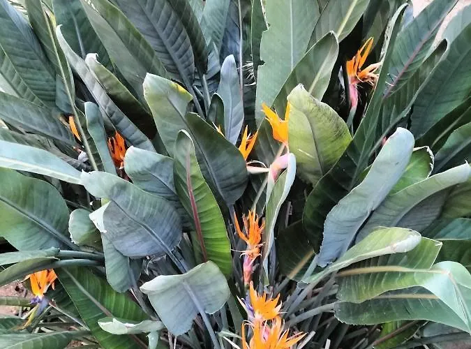 Il Giardino Di Antonella Апартаменты Эриче